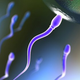 Illustration for article titled Fertility Issues Aren't Just A Female Problem